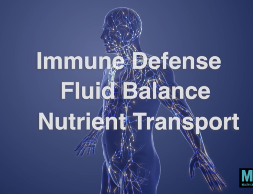 The important human circulatory system no one talks about